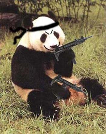 google_panda